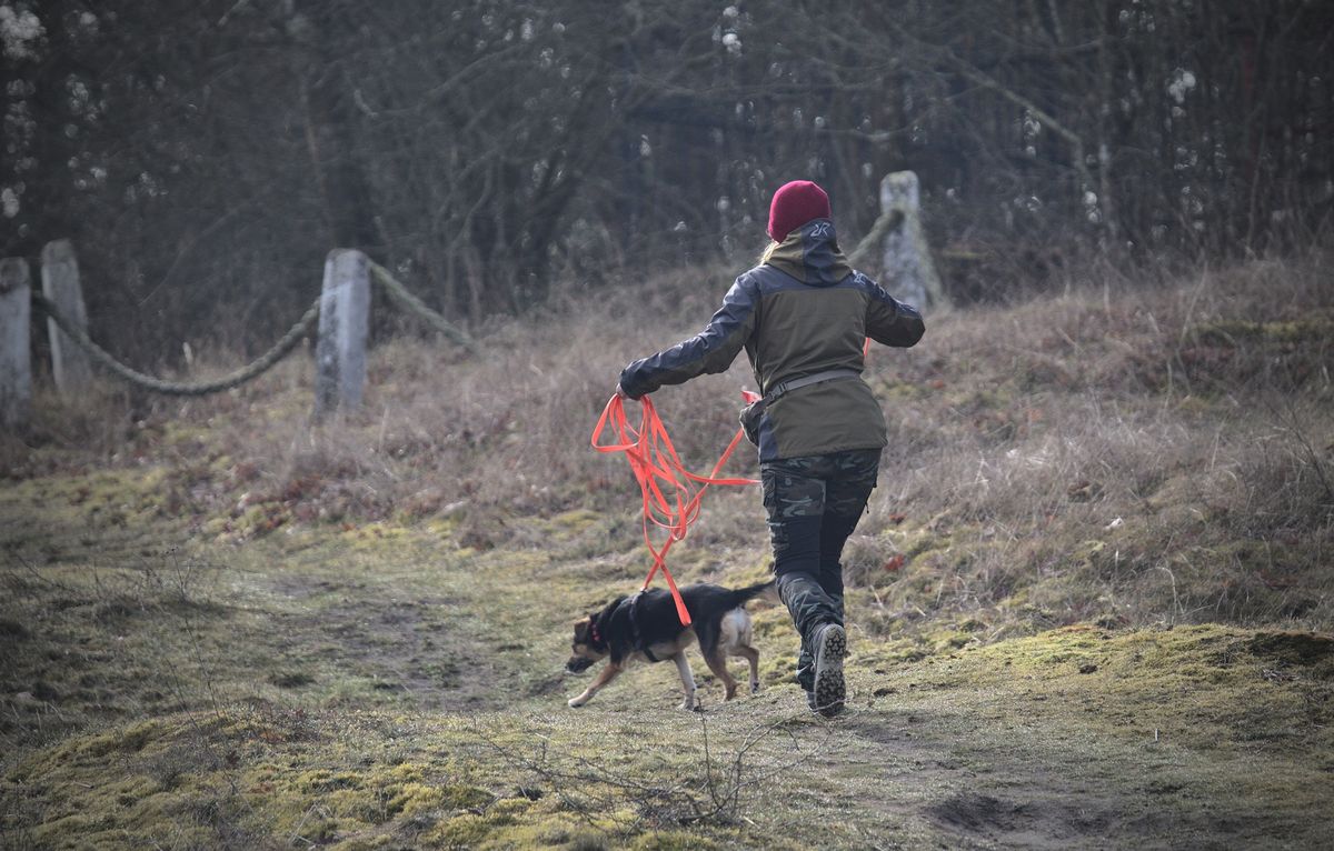 SZCZECIN: Trening tropienia u\u017cytkowego 