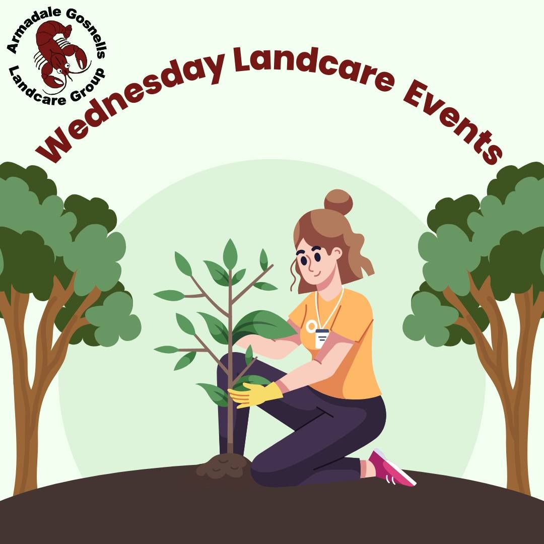 Wednesday Landcare - planting at Mills Park Beckenham