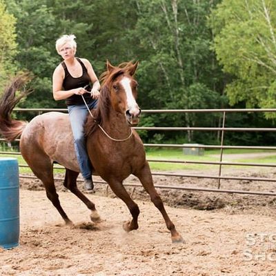 Ashley Messer Horsemanship