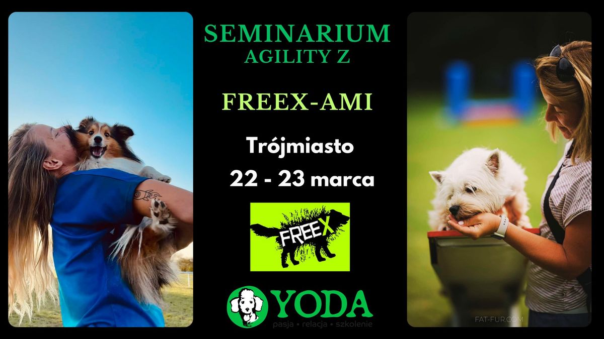 Seminarium Agility z Freexami, Tr\u00f3jmiasto