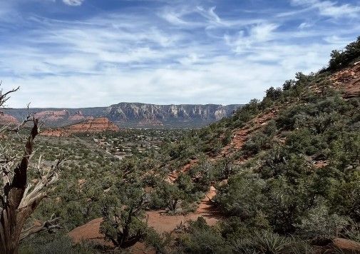 Lower Chimney Rock Loop Bird Walk