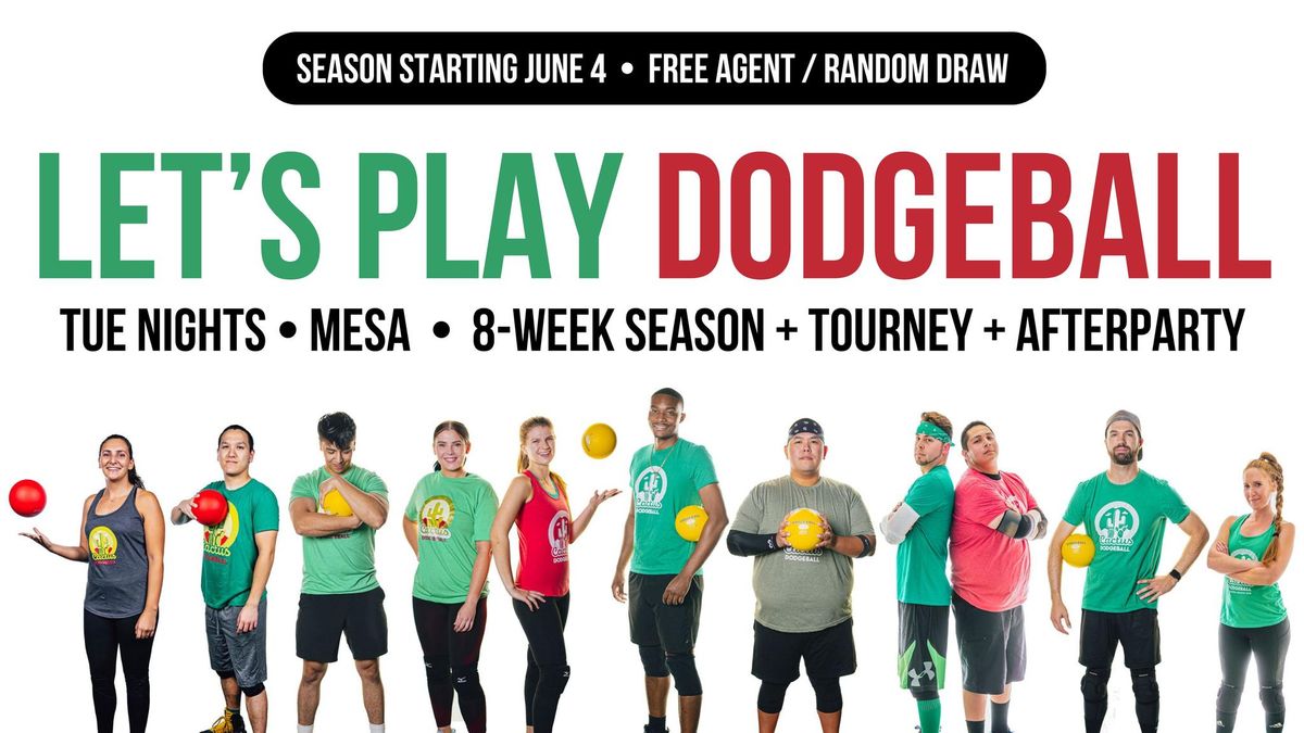 June 4 - Random Draw - 8-Week Foam Dodgeball Season