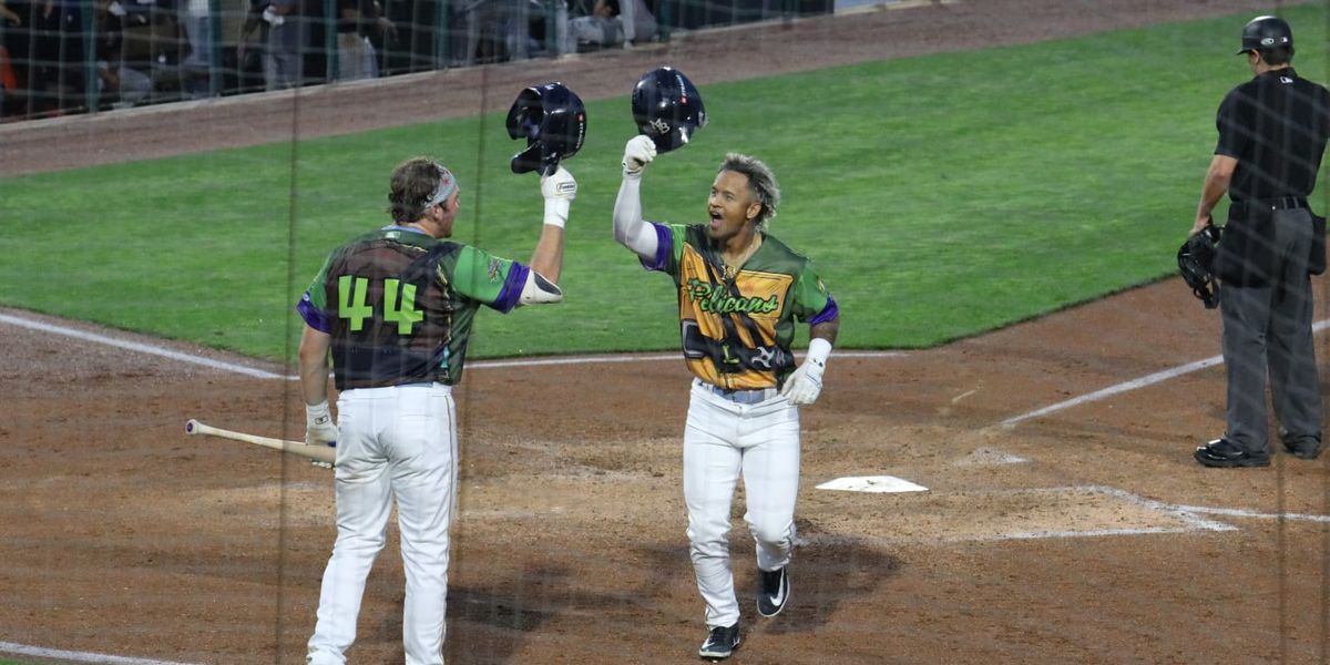 Myrtle Beach Pelicans at Delmarva Shorebirds