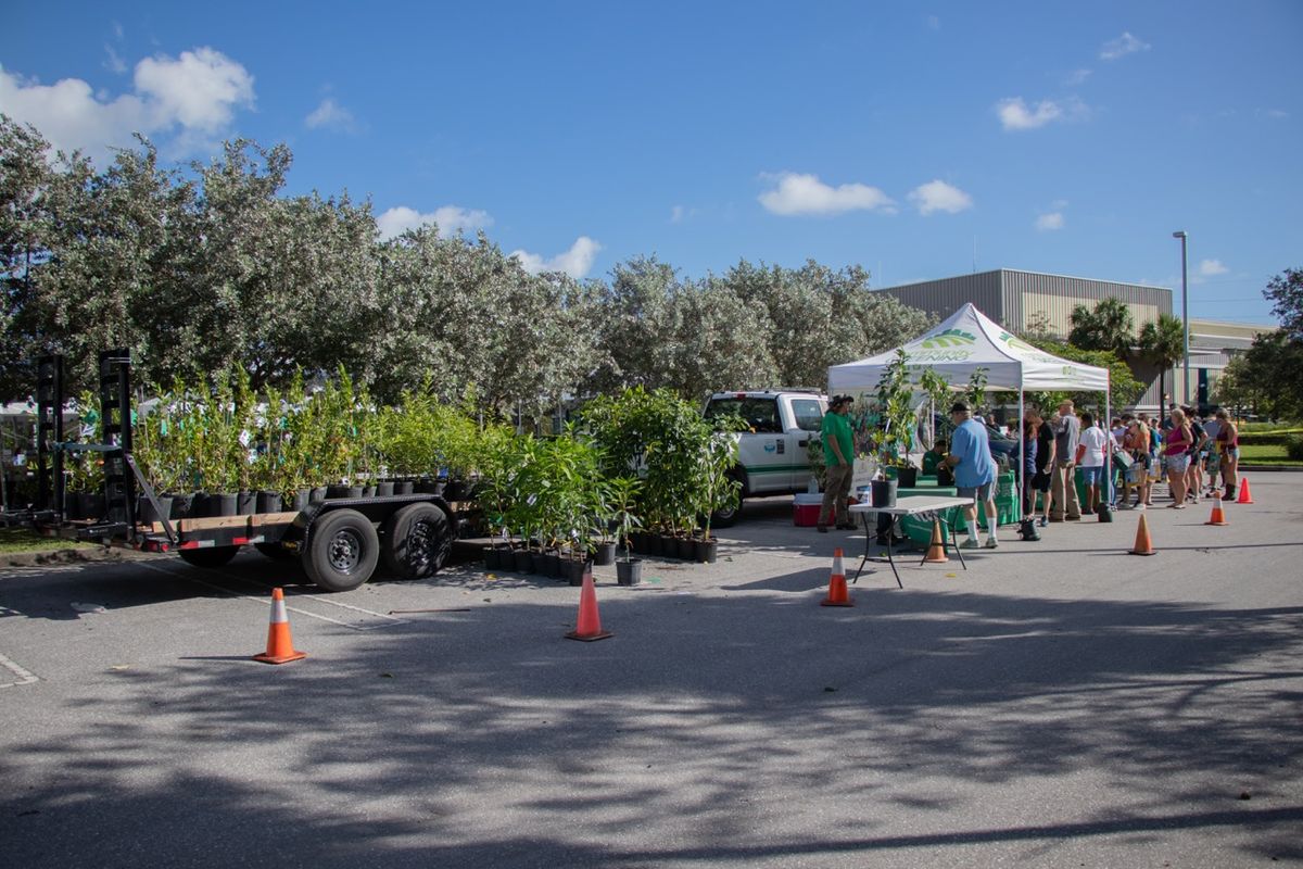 Delray Beach Tree Giveaway