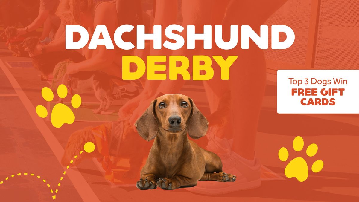 Dachshund Derby