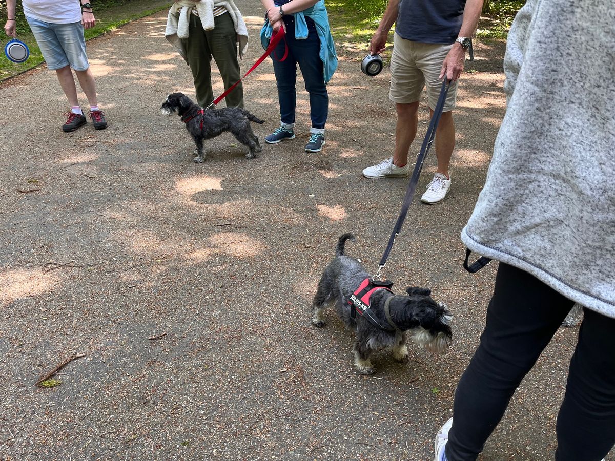 Towneley Park Schnauzer Walk