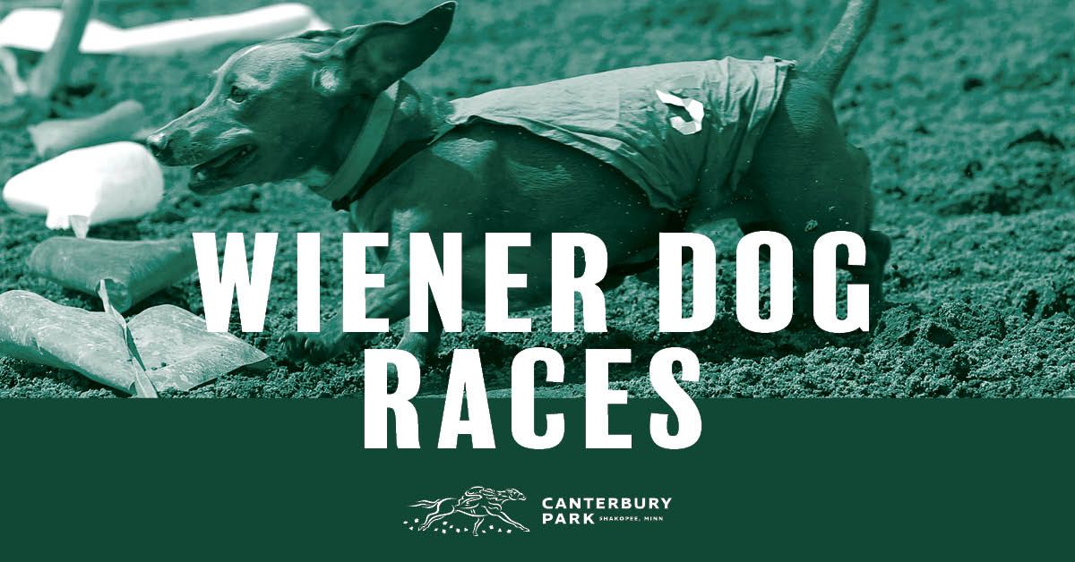 Wiener Dog Races