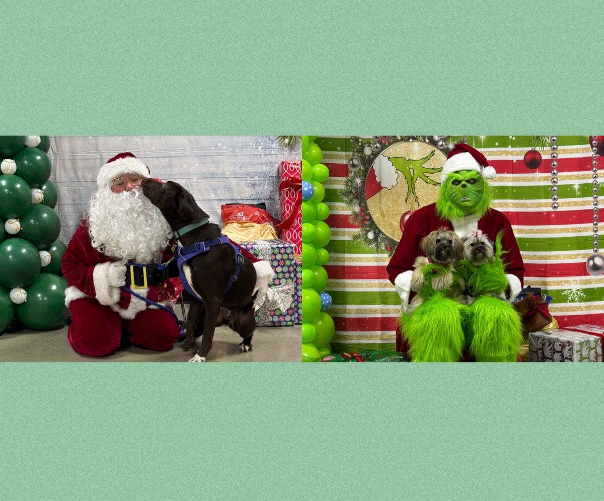 Pictures with Santa and The Grinch\ud83c\udf85\ud83c\udffb\ud83d\udc32