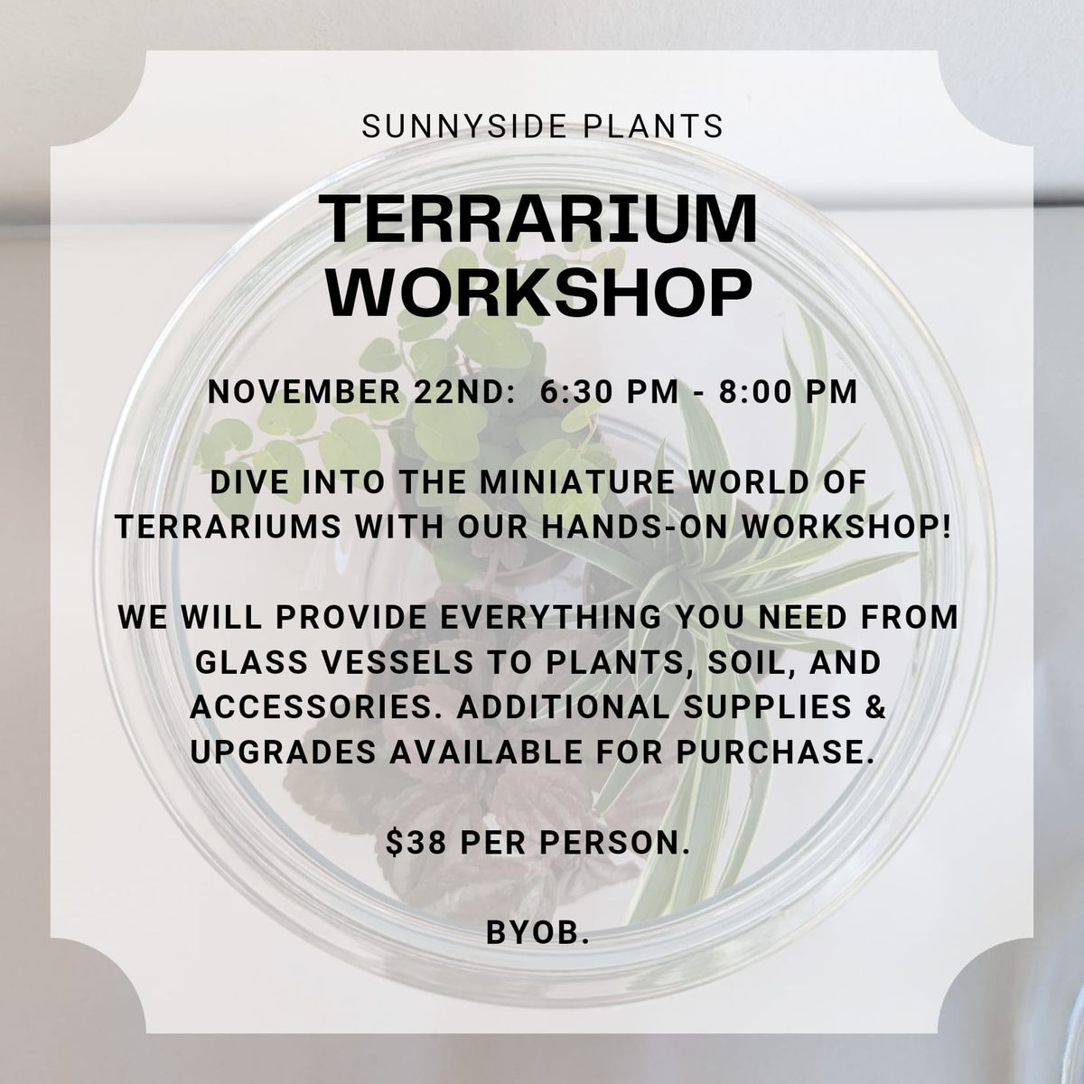 Terrarium Workshop at Sunnyside Plants