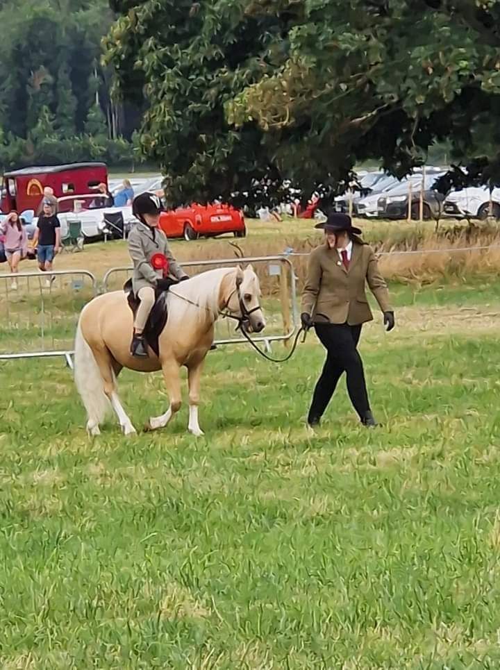 Children\/Lead rein Dressage under 12s have a go dressage! 