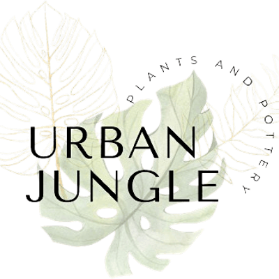 Urban Jungle Plants and Pottery