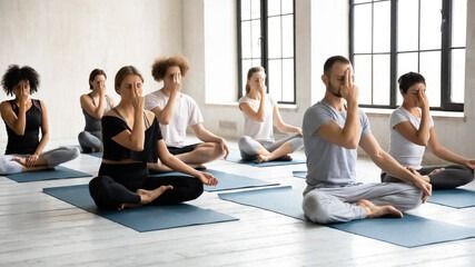 Pranayama and Meditation: How the breath and meditation meet