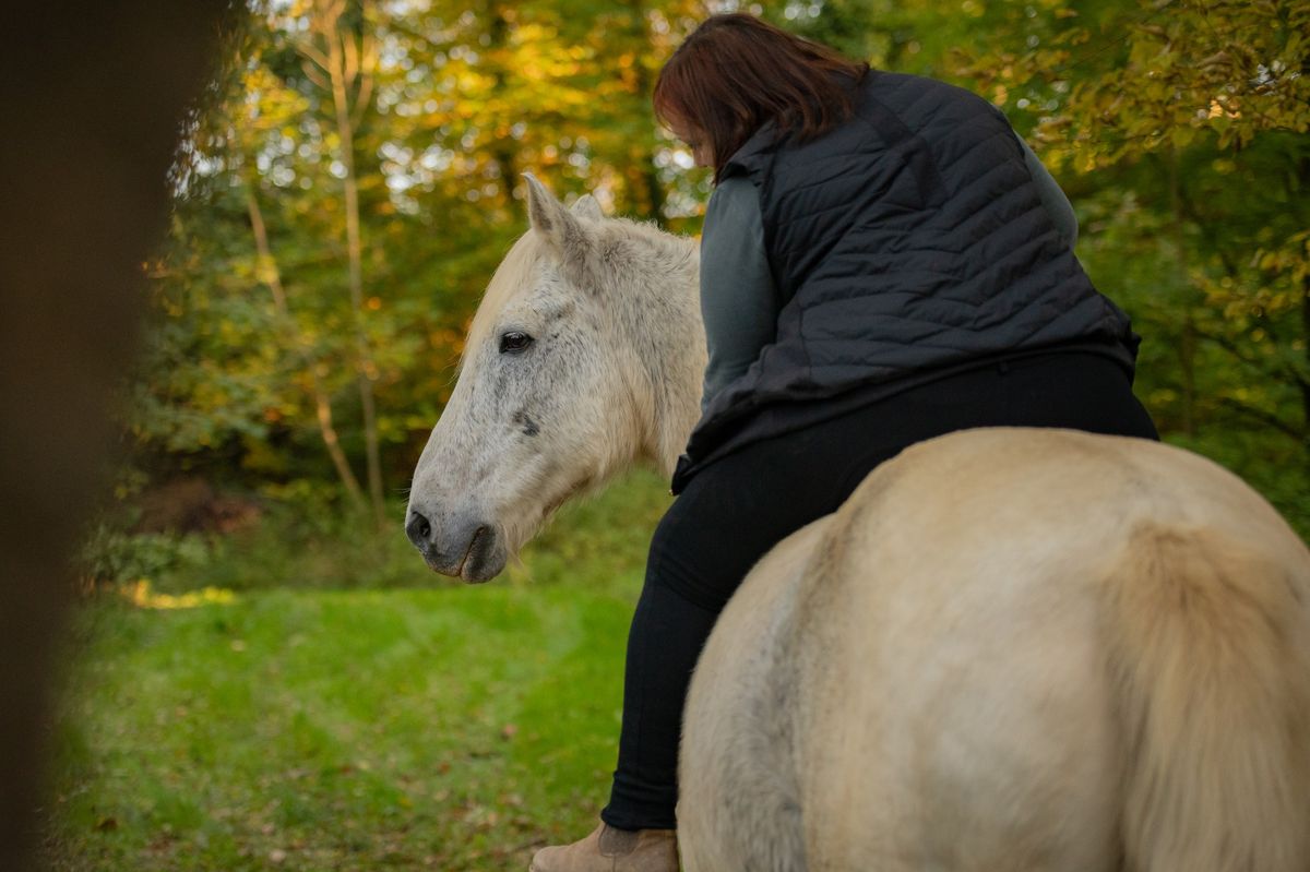 D\u00e9couvrir l'\u00c9ducation sp\u00e9cifique li\u00e9e \u00e0 la m\u00e9diation animale avec les chevaux