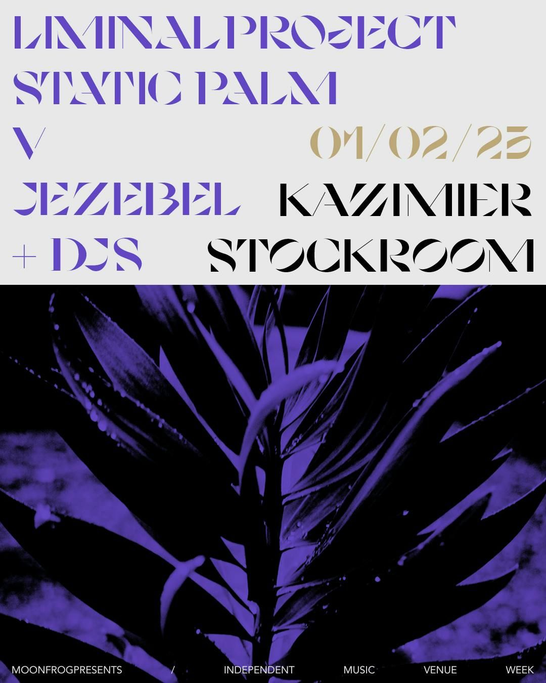 LIMINAL PROJECT \/\/ STATIC PALM \/\/ V \/\/ JEZEBEL  |  KAZIMIER STOCKROOM 