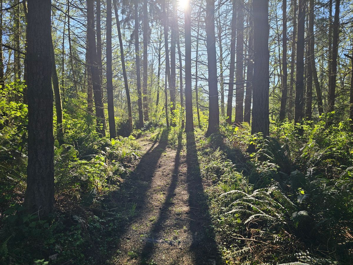 Silver Creek Trail Run 5K 10K Half Marathon