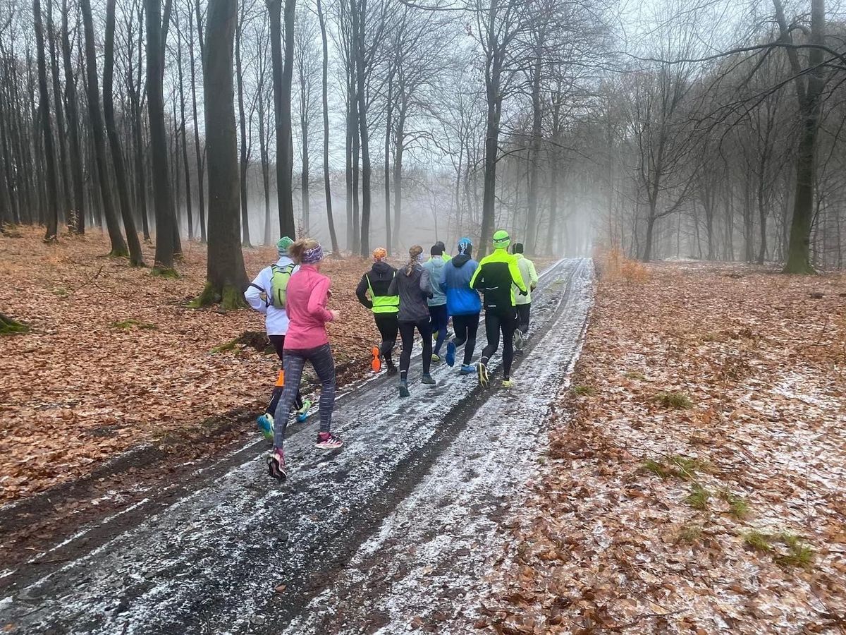 Sobotnie wybieganie z Trigym Szczecin