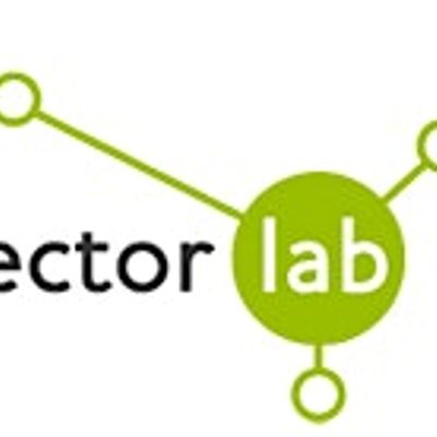 Third Sector Lab