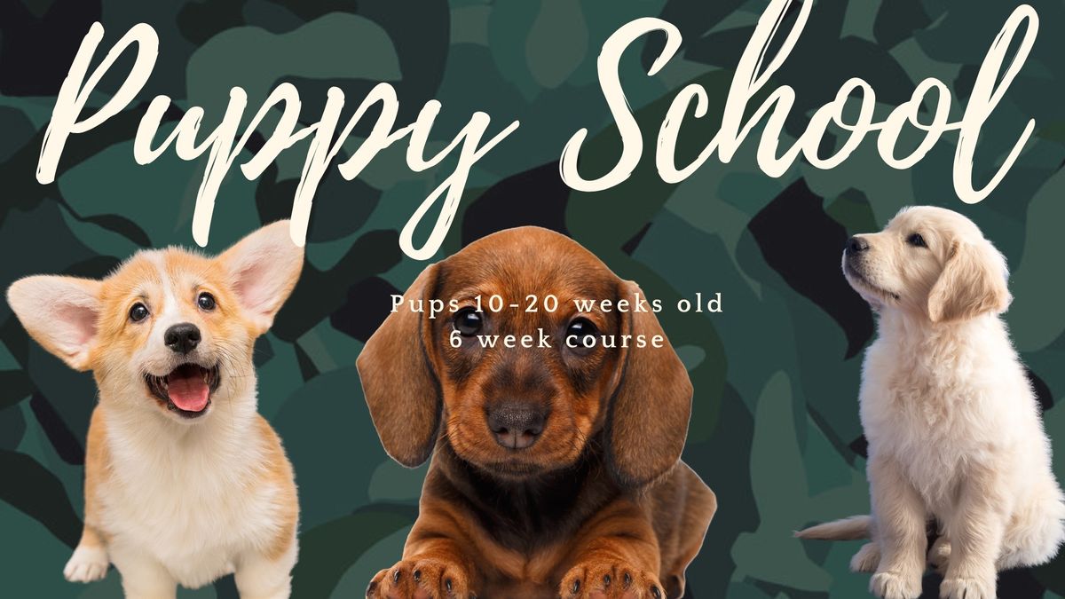 Puppy School 6 Week Course