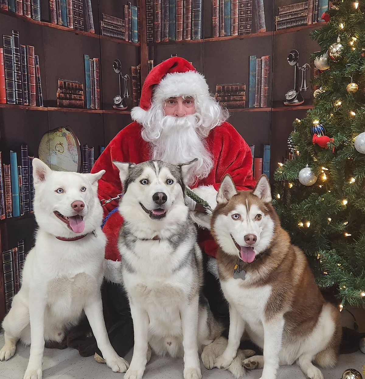 Santa Paws