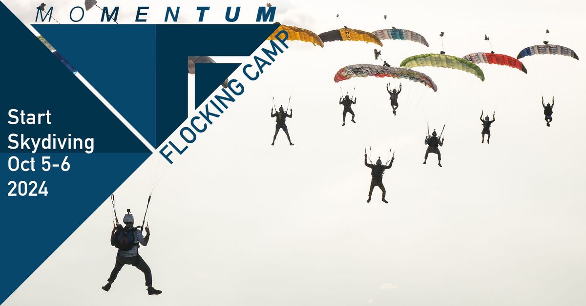 Momentum Flocking Camp