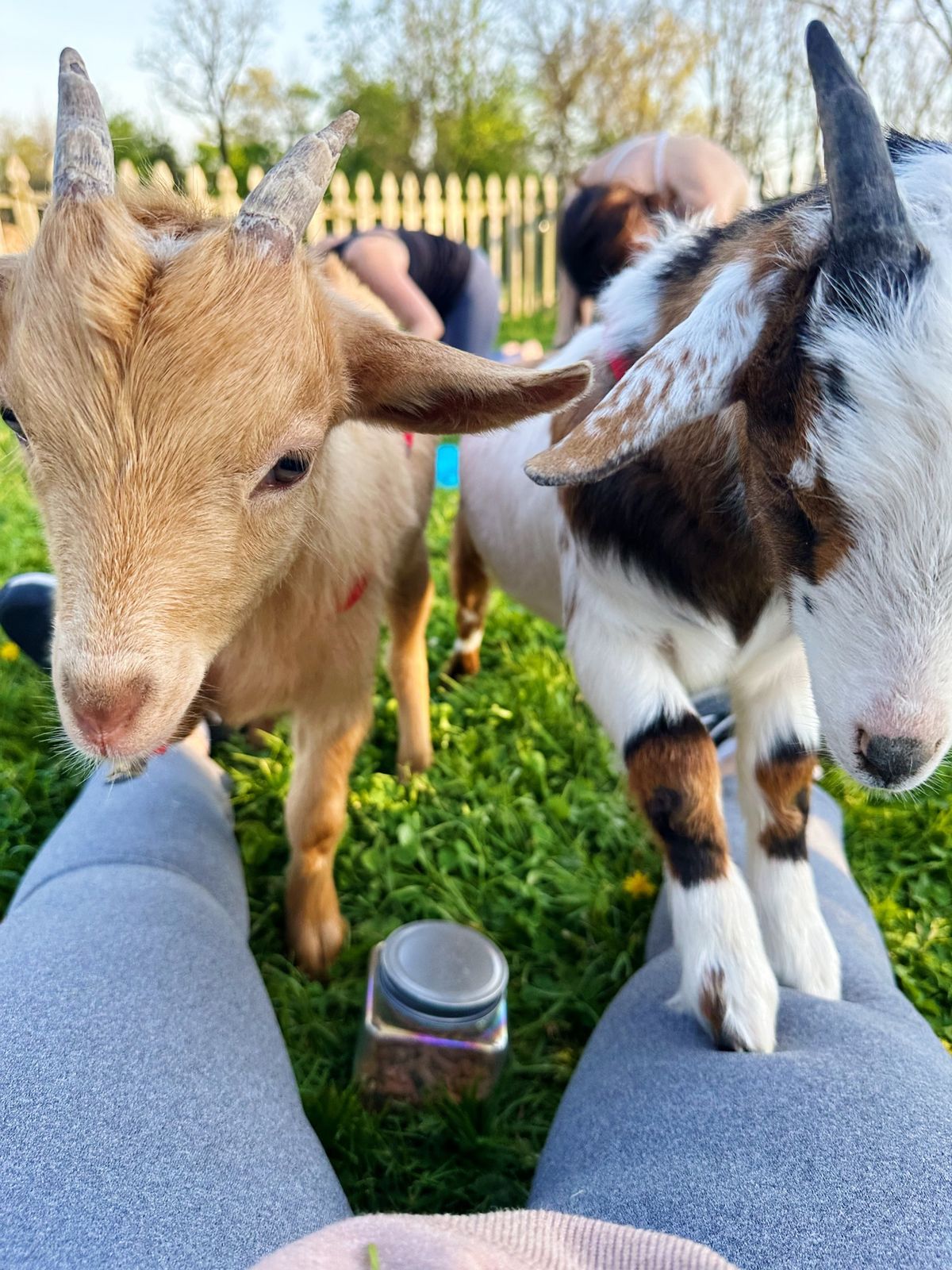 Stable 12 Brewing Bottle Feeding & Snuggle Time