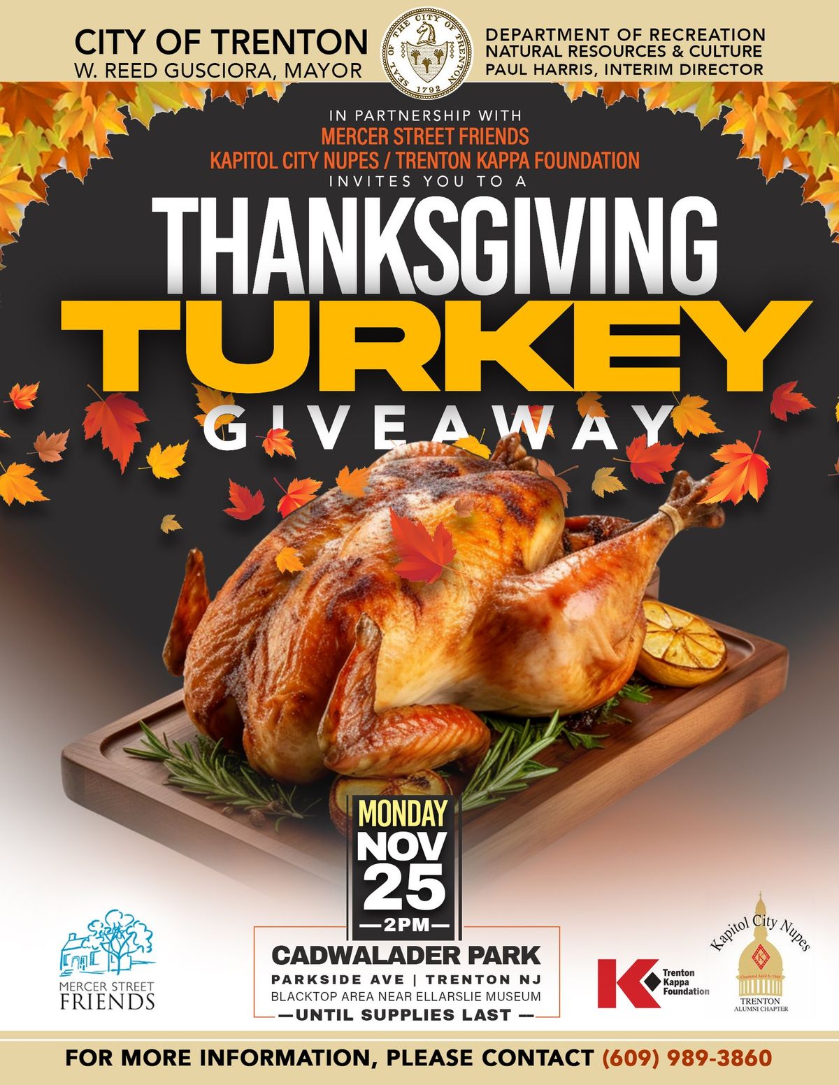 Thanksgiving Turkey Giveaway 