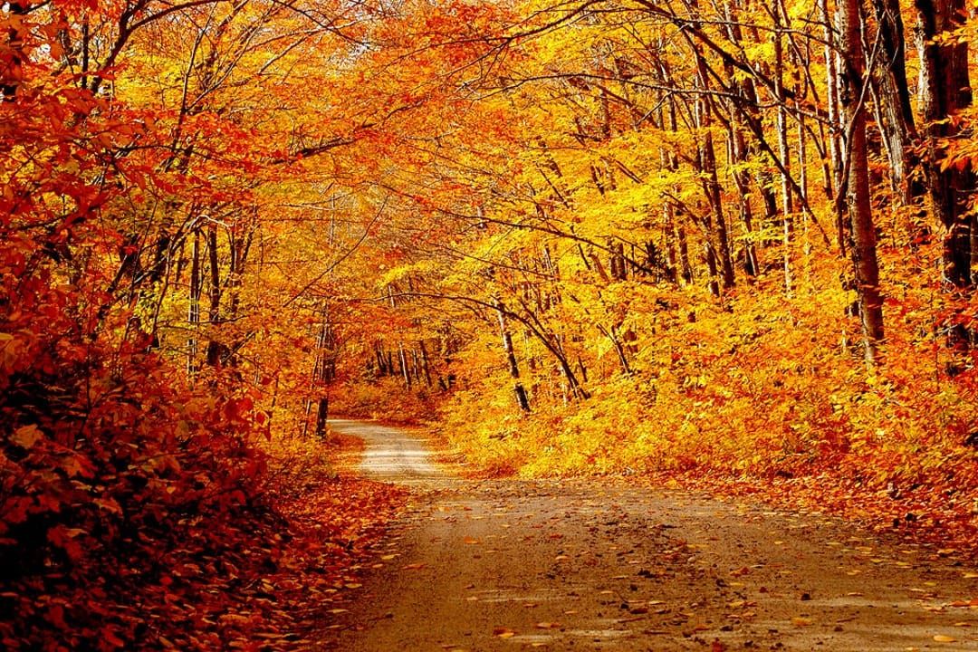 November Harvest hosted by First United Methodist Church of Lawrenceburg 