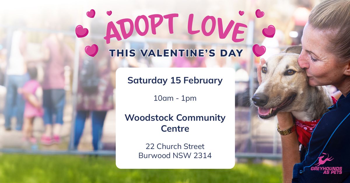 Valentines Greyhound Adoption Event