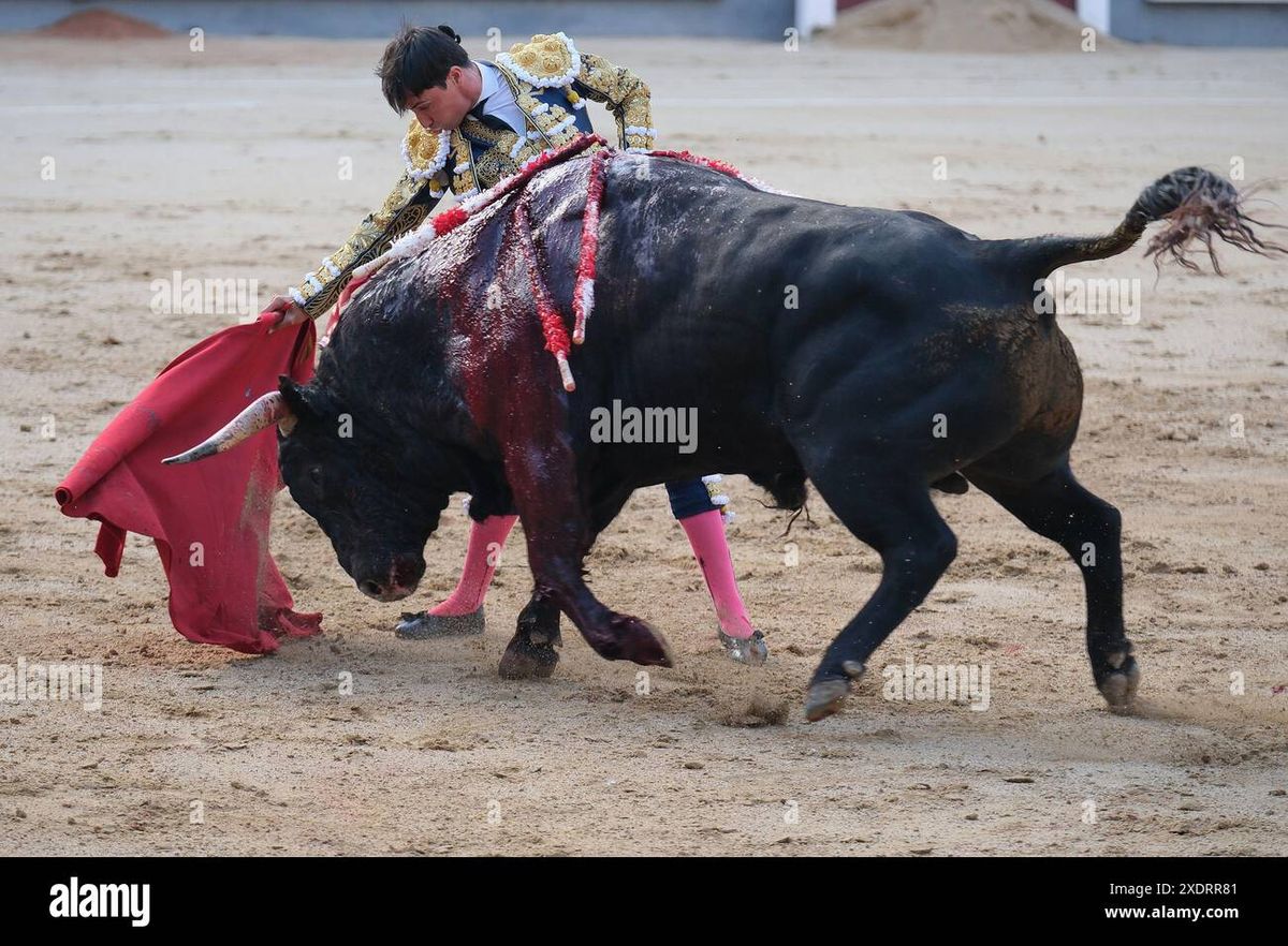 Bullfighting Madrid 2024 - Miguel \u00c1ngel Perera & Emilio de Justo Tickets