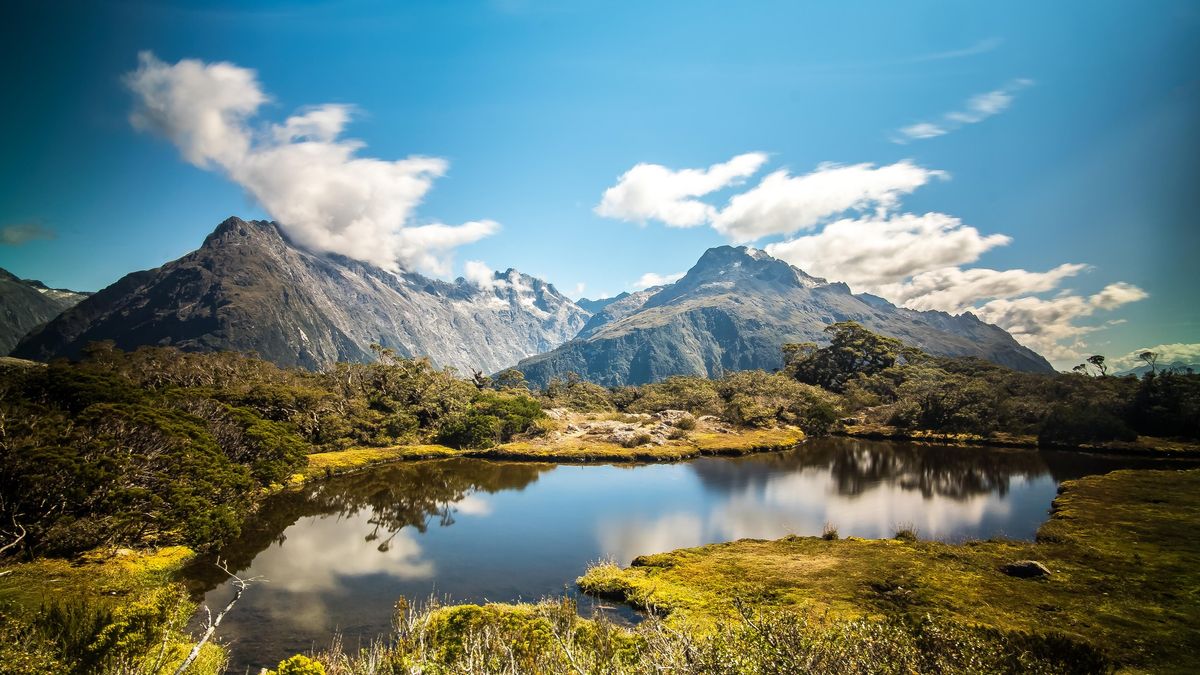 Road-trip to New Zealand's NPs, Auckland, Christchurch, w\/moderate hikes