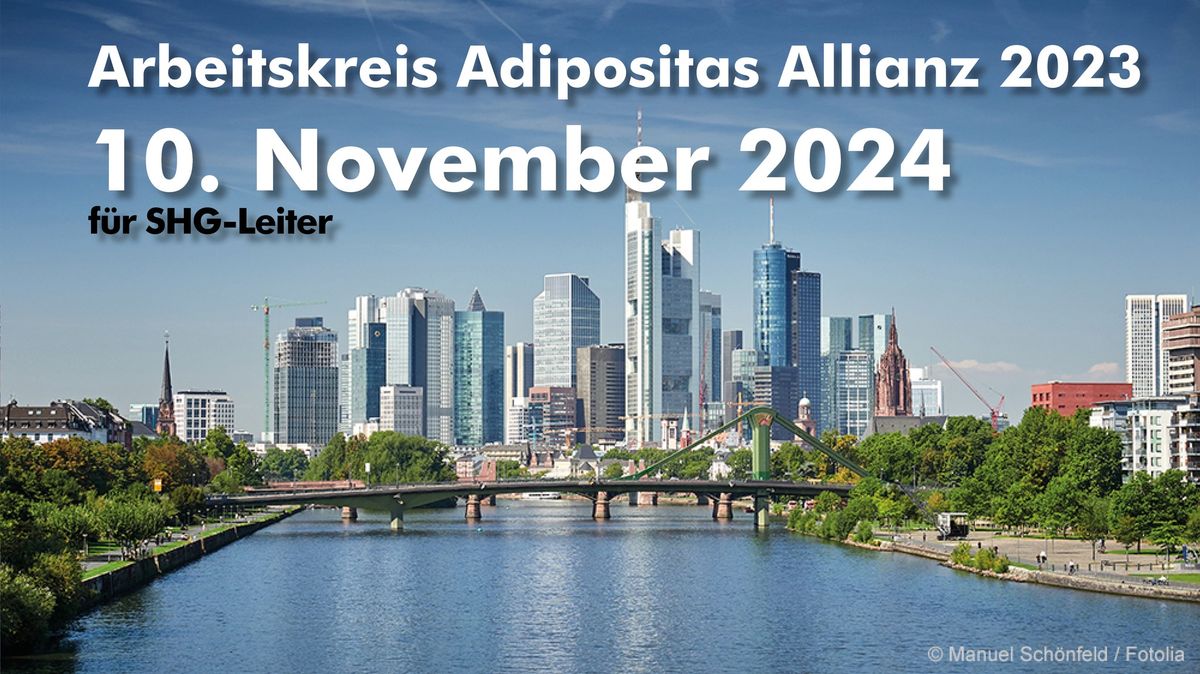 Arbeitskreis Adipositas Allianz November 2024