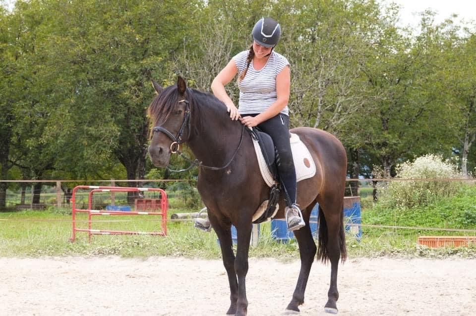 Stage jeunes chevaux, du sol au debourrage, les essentiels 