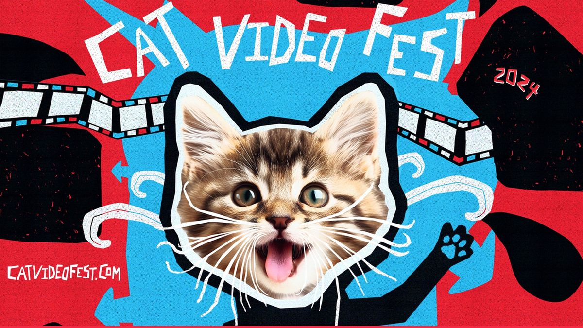 Cat Video Festival