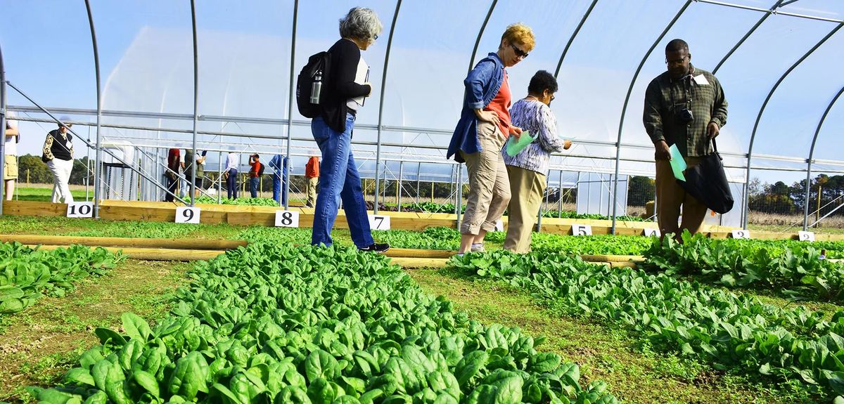 Soil Health Field Day: Compost & In-Field Demos