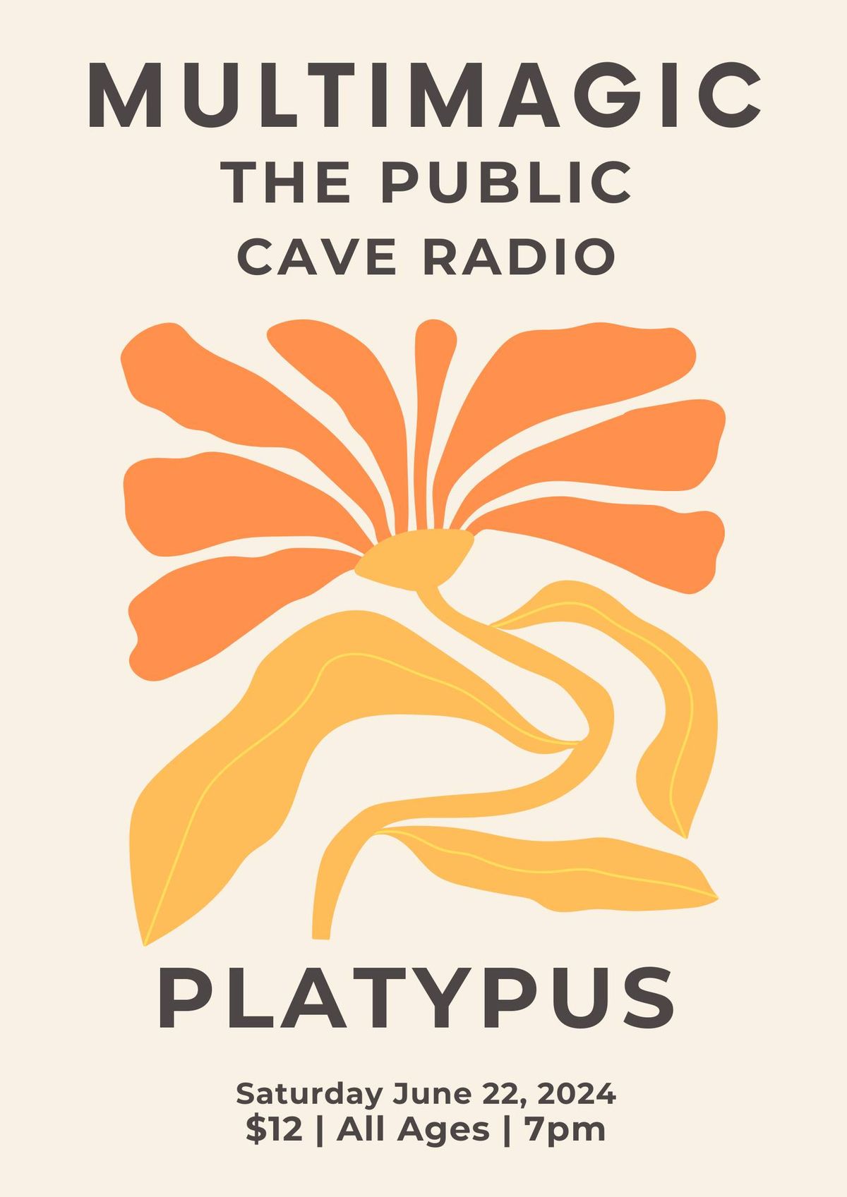 Multimagic (OH), The Public + Cave Radio at Platypus