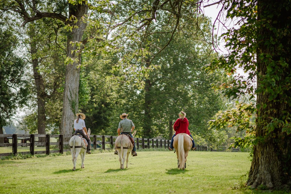 Fall Trail Ride