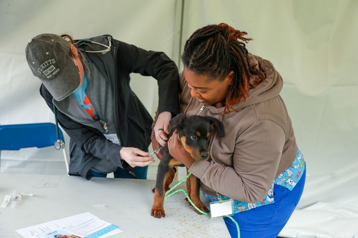 Palmer Park Low-Cost Vaccine Clinic