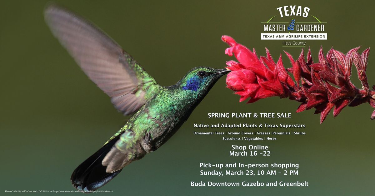 Spring 2025 Plant and Tree Sale