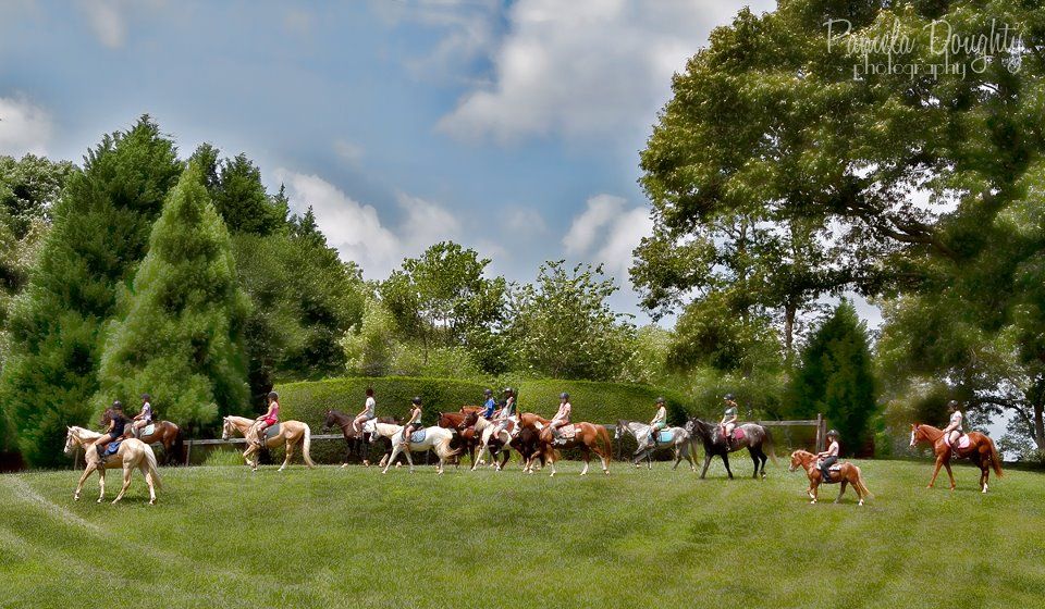 NAE CT, 3-Phase, and Western Dressage Schooling Show