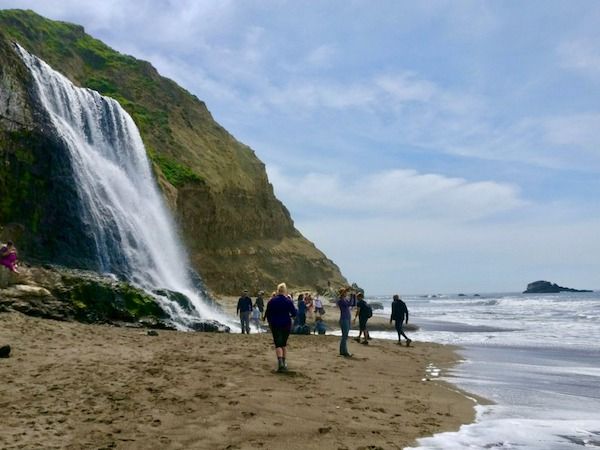 Hike to Alamere Falls in Pt Reyes National Seashore