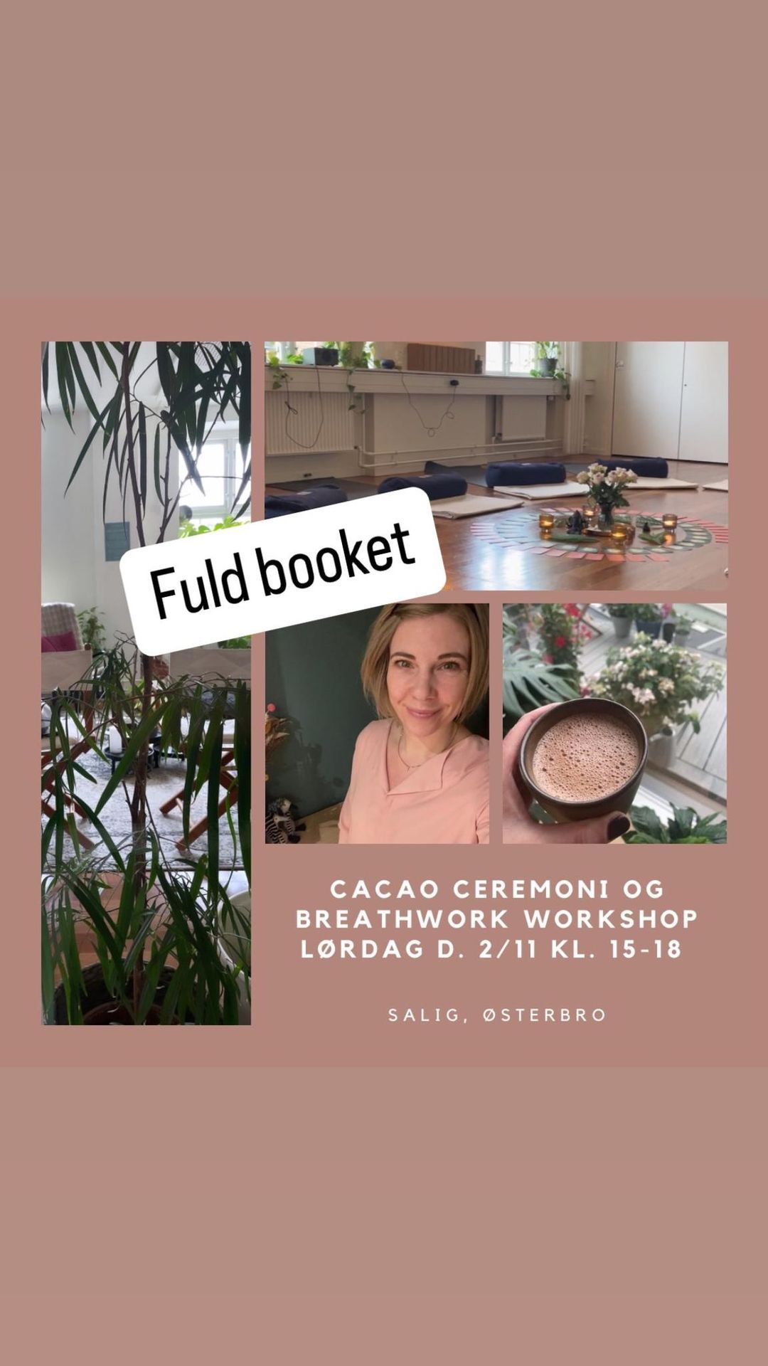 Cacao ceremoni & breathwork workshop 