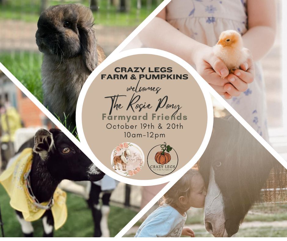 Rosie's Farmyard Friends Petting Farm