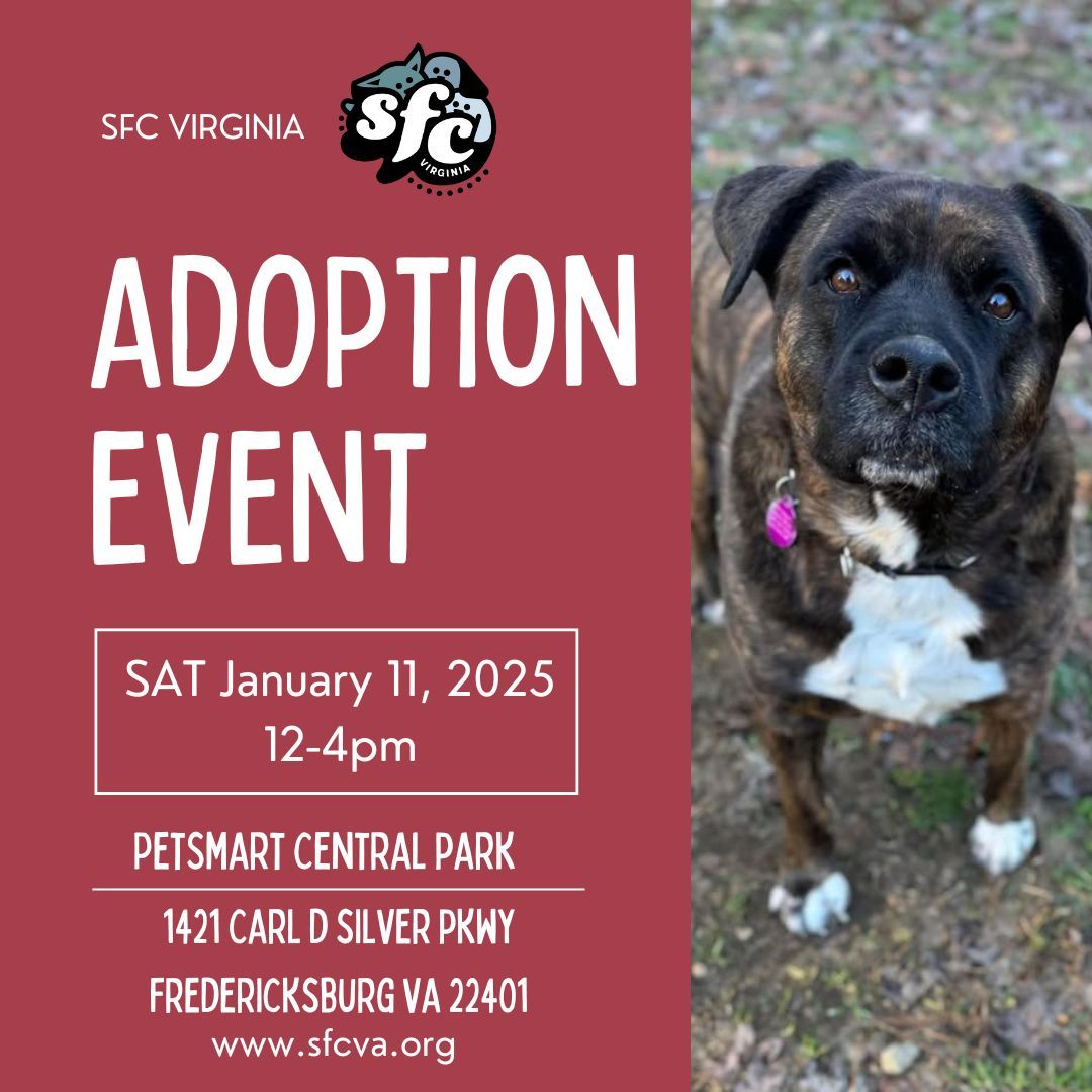 1\/11 Adoption Event at Petsmart Central Park