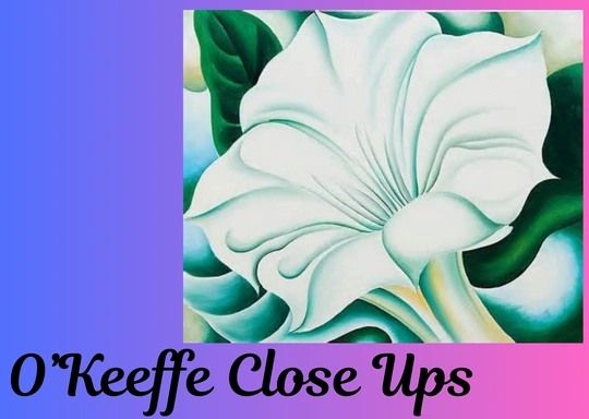 O'Keeffe Close Ups