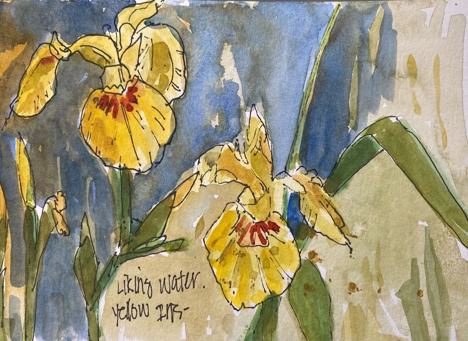 Botanical Sketching in Ink and Watercolor Series: Spring