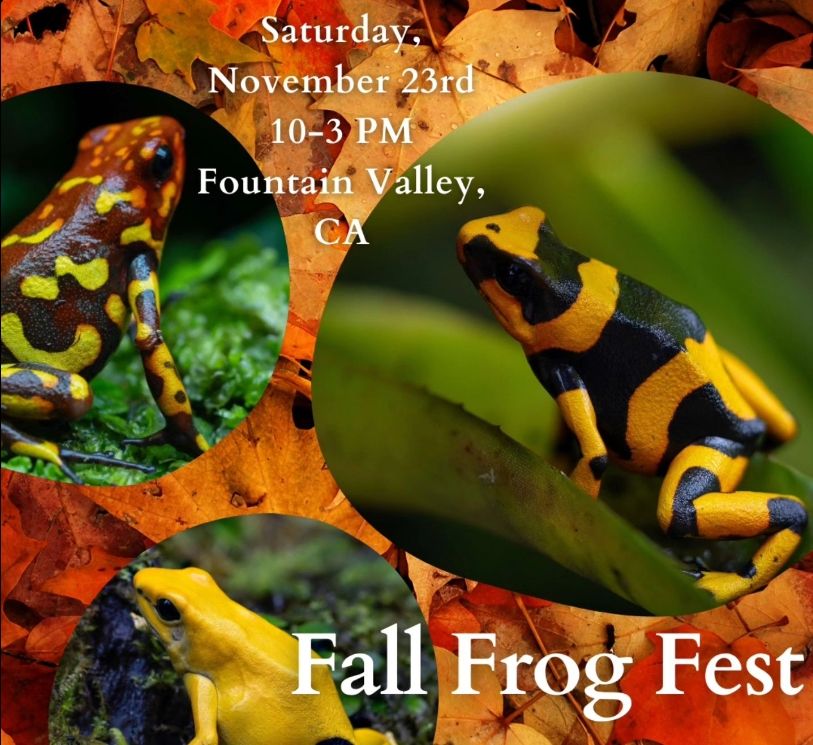 Frog Fest CA