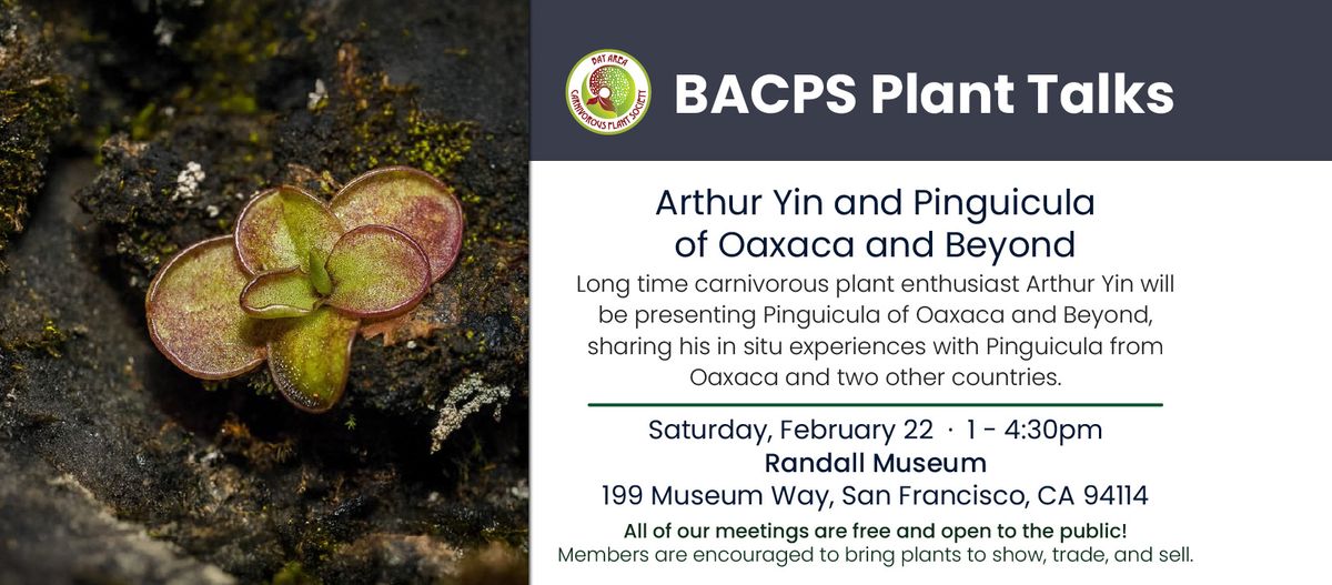 BACPS Plant Talks: Arthur Yin and Pinguicula of Oaxaca and Beyond