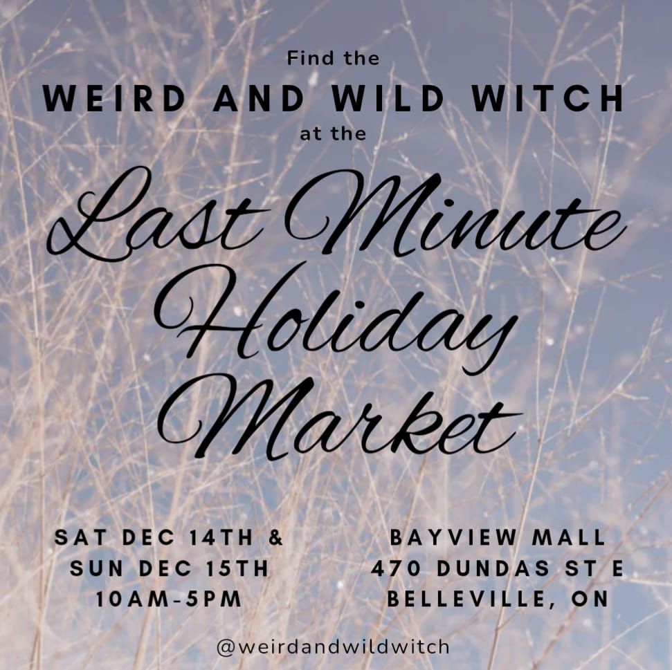 Weird and Wild Witch at the Last Minute Holiday Market