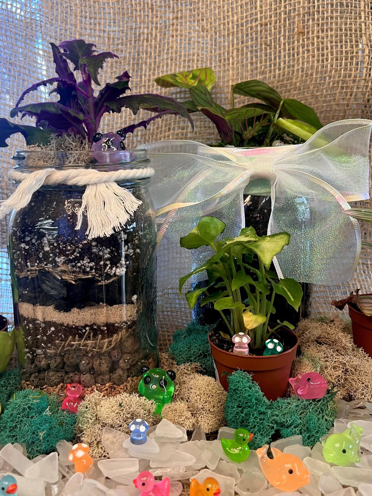 Iowa City, IA - Mason Jar Terrariums