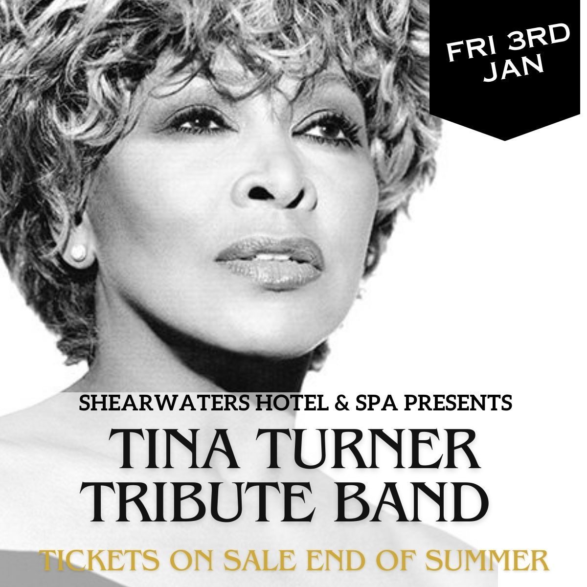 Tina Turner Tribute 